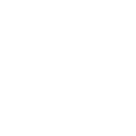 white notion icon